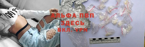 ПСИЛОЦИБИНОВЫЕ ГРИБЫ Балабаново