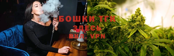 ПСИЛОЦИБИНОВЫЕ ГРИБЫ Балабаново