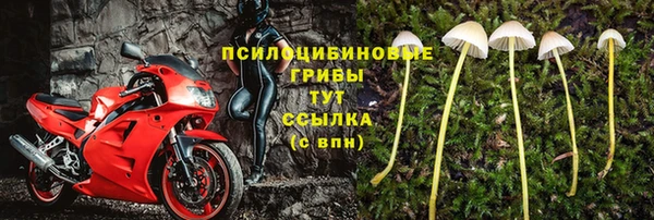 первитин Пролетарск