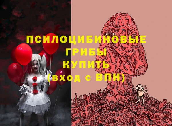 дмт Баксан