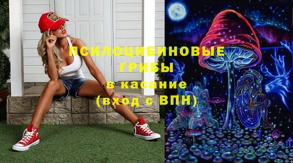 ПСИЛОЦИБИНОВЫЕ ГРИБЫ Балабаново